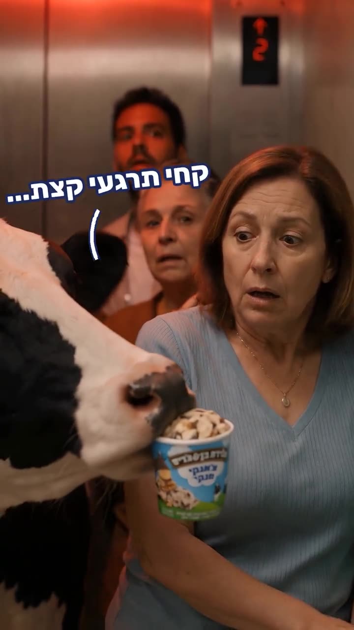 פרה במעלית עם גביע גלידה